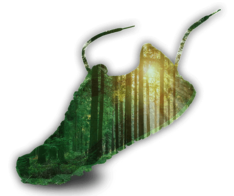 Sneaker with Tree overlay