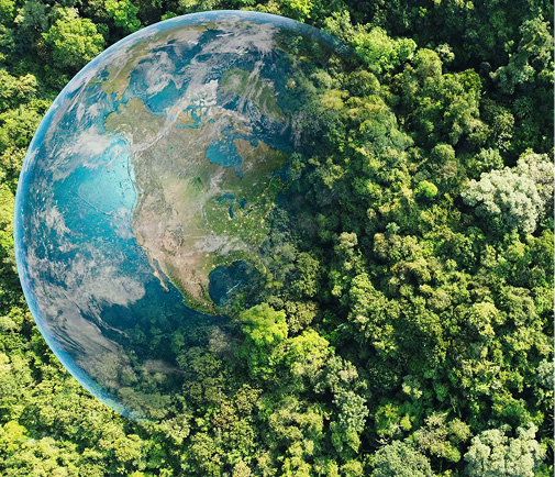 Forest with Globe on Image overlayed