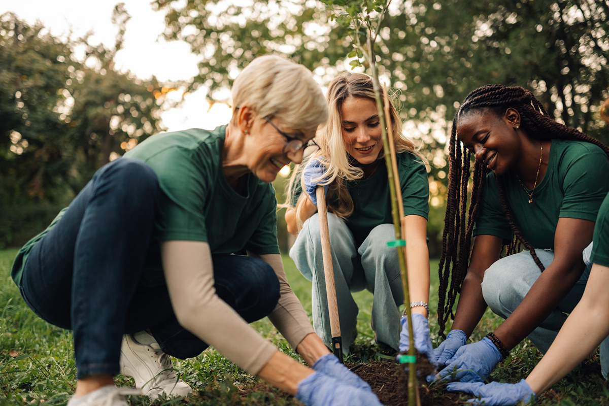 A group of women planting a tree.