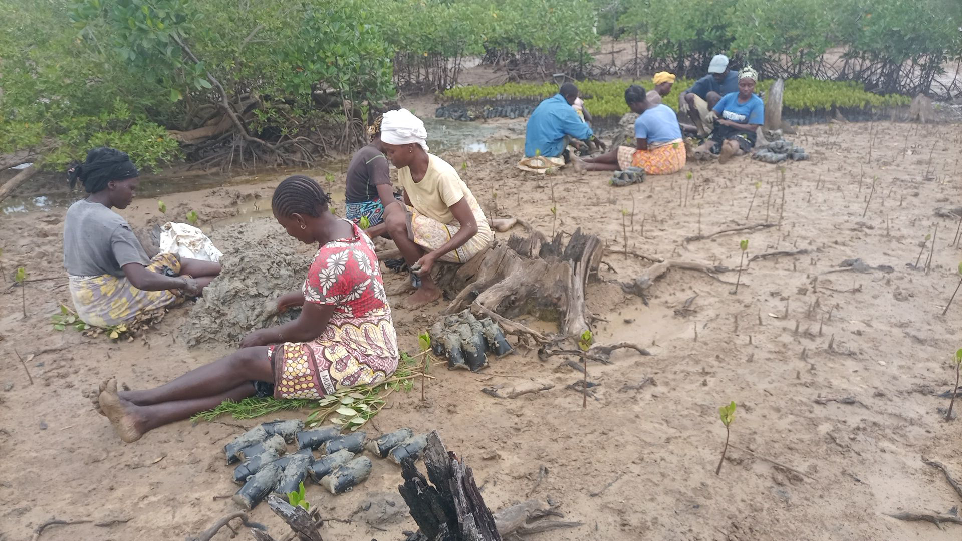 Women in Africa planting trees.